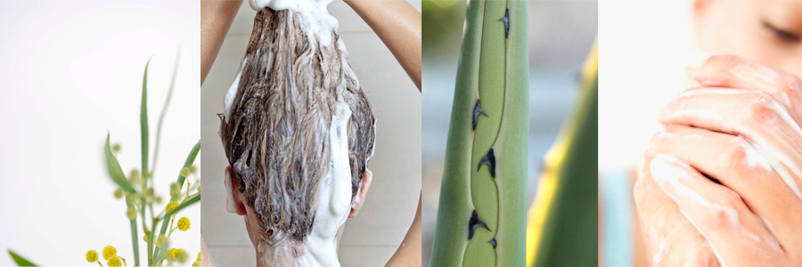 Champú Ecologico Biodegradable